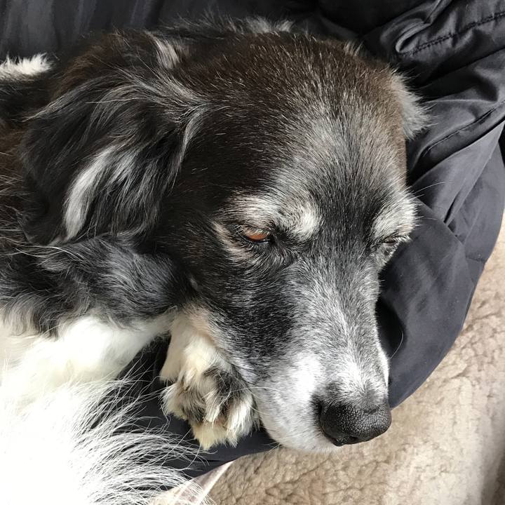 Ccd36887 bfca 4050 81d7 2a1dc2b2c9f4