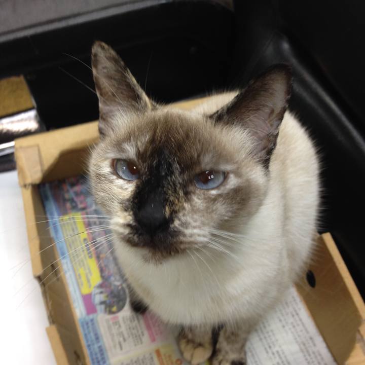 Ccd39f07 04f2 4de3 8e09 431ab484cc83