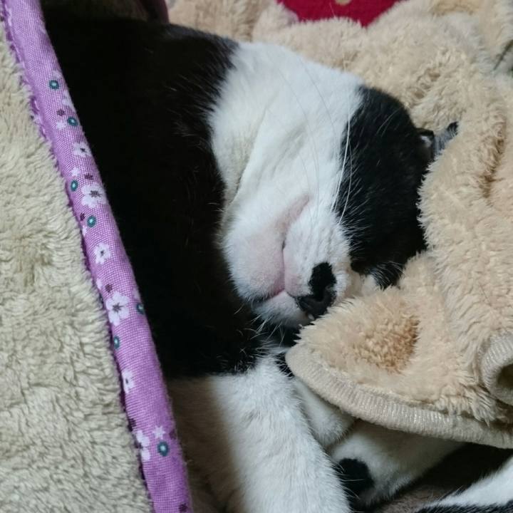 Ccd3e7ba 2f3a 4c86 b845 435d2f81f25a