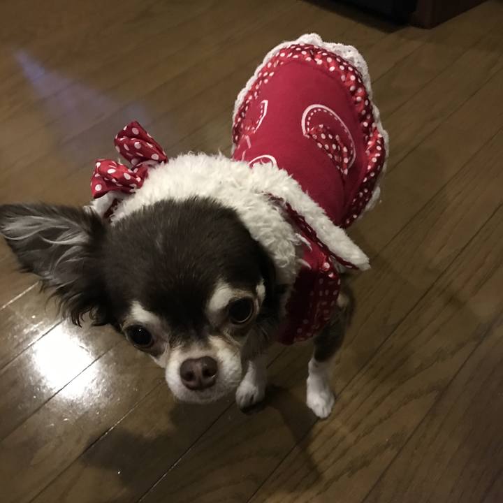 Ccd49f18 71cb 4d28 a85e 110da510fcdd