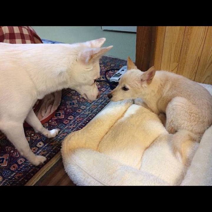 Ccd58cc1 e344 415e 93b3 1ce52cc24f5c