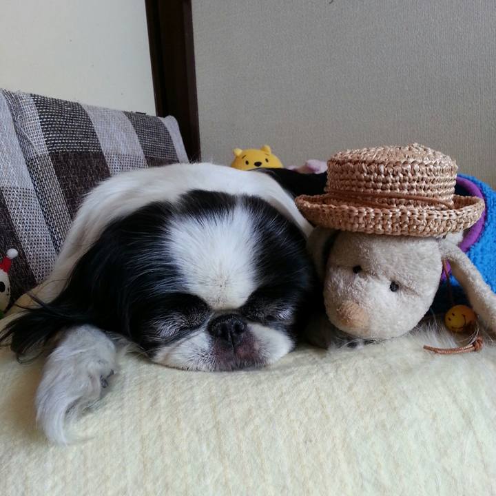 Ccd5dc74 57cd 4e35 911a 5712f227bc72