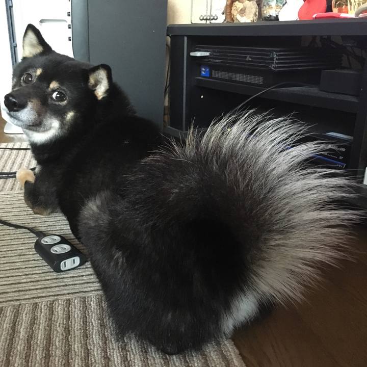 Ccd7d879 398d 4113 8ce9 0fcc4f7d74d5