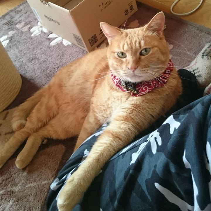 Ccd80c6c 159d 439b 87da 6022d6e2dc75