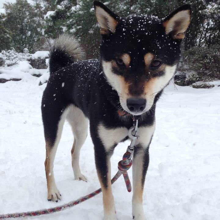 Ccd84b39 03a8 43f1 b888 f259e642af88