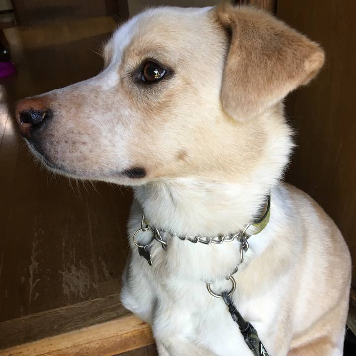 Ccd88130 2b84 43a1 bd07 0bda6b16102c