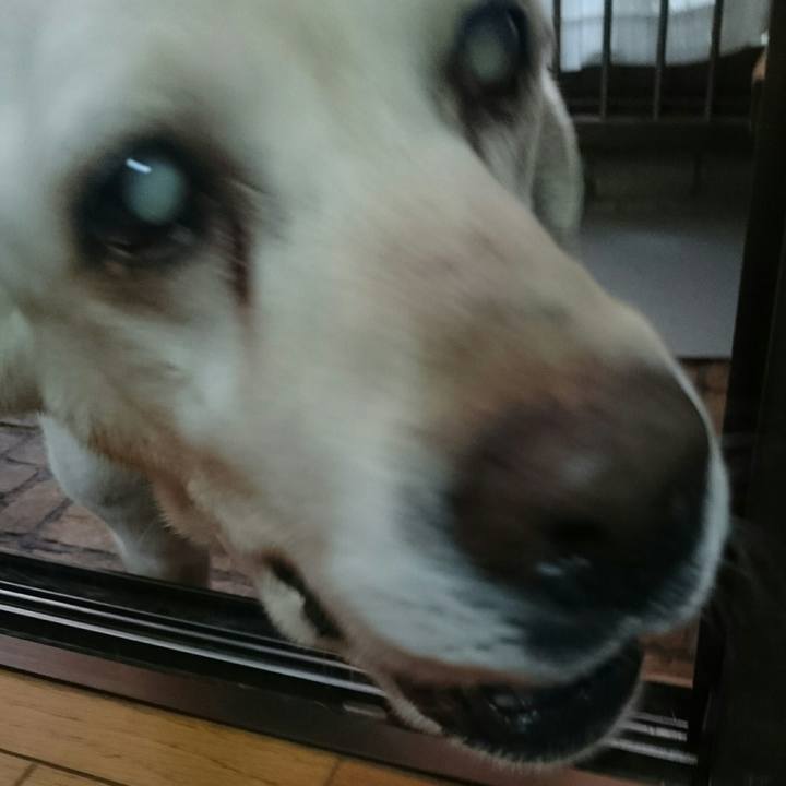 Ccd8bfb3 3ed3 4407 83f5 1db9471b7e4a