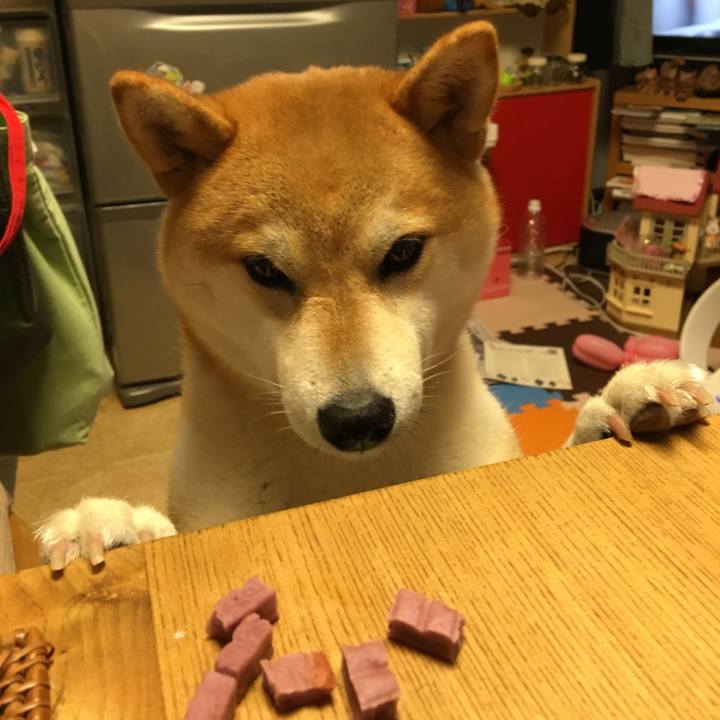 Ccd97699 2ace 417f 9af0 74df9e1c4231