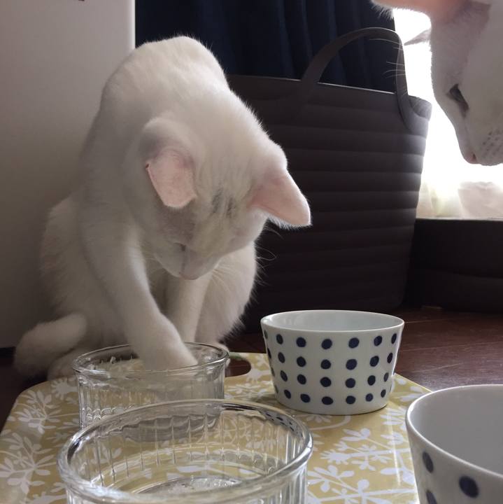 Ccdaa789 7ce4 4743 9880 fd6534088238