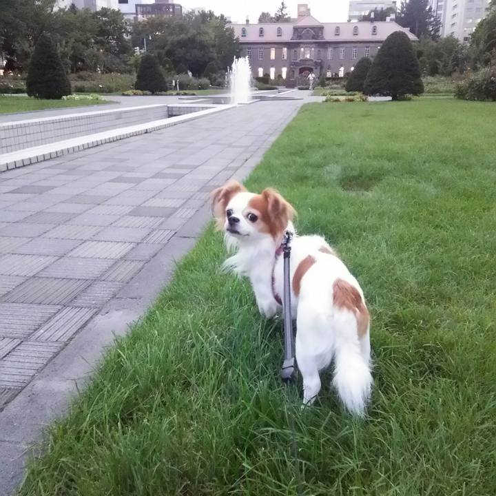 Ccdaa9d7 b15d 425b 8e9e d87a70ae12fc