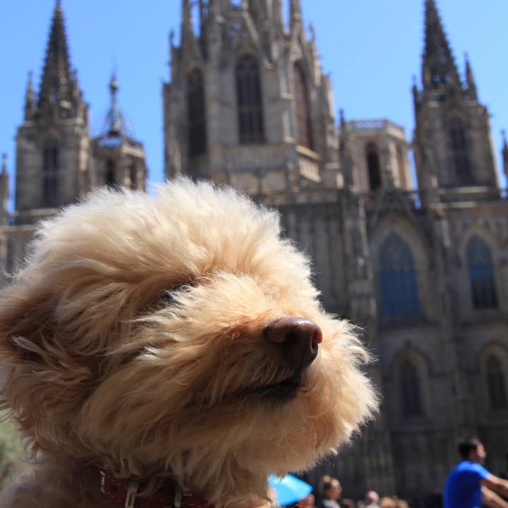 Ccdaa9ef f715 4bd3 a84a bec72800ce02