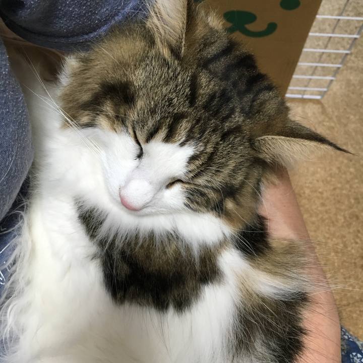 Ccdace7f 9ab1 4785 84b4 736bca43fa63