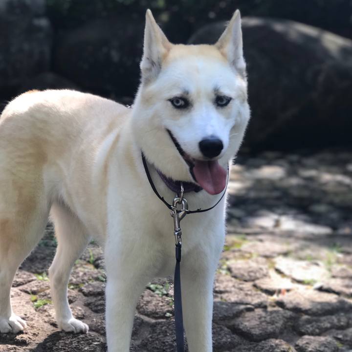 Ccdb7881 27ae 4549 8840 d2a6c6cb1e80