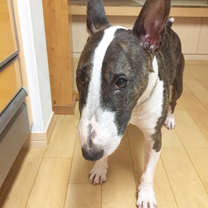 Ccdc5df0 4cf5 4d2f aa99 669ccd2e0371