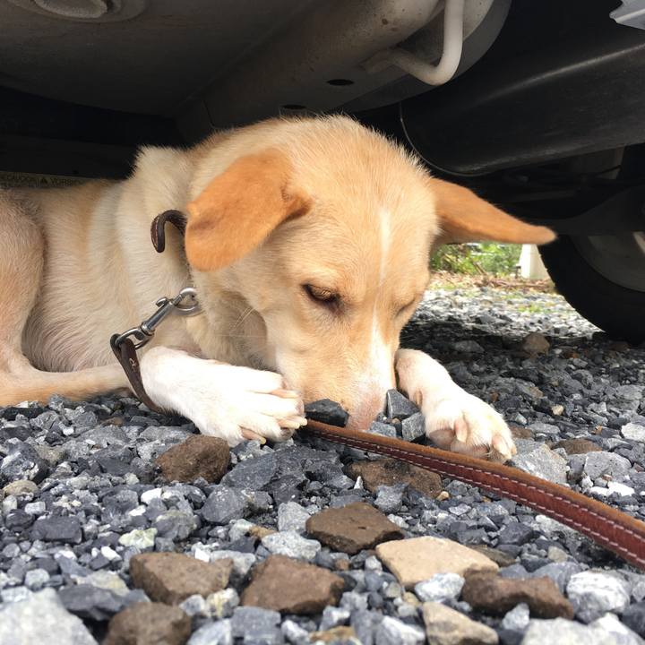 Ccdccf19 9a72 4504 bcb2 0c70fb42fa1d