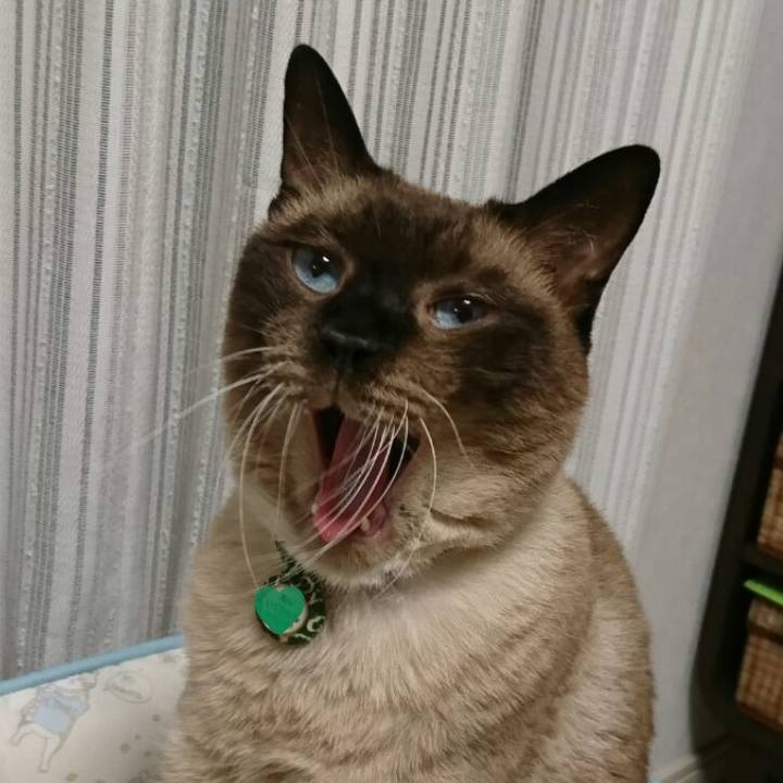 Ccdcde4f 3130 4666 9b0d 6c7237e1d023