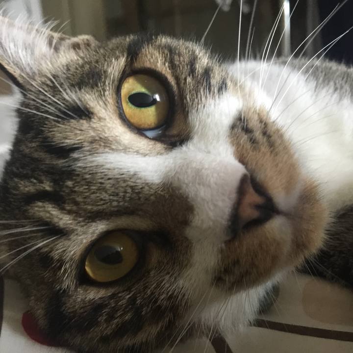 Ccddc358 67d1 4a1c bebd 271f610964e7