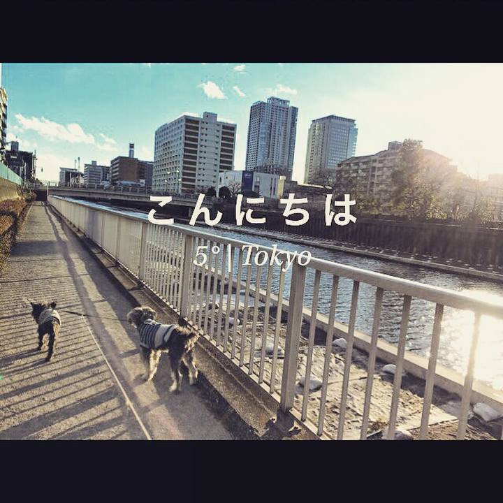 Ccddf0ef 6685 4d51 9350 d28fd3c731c6