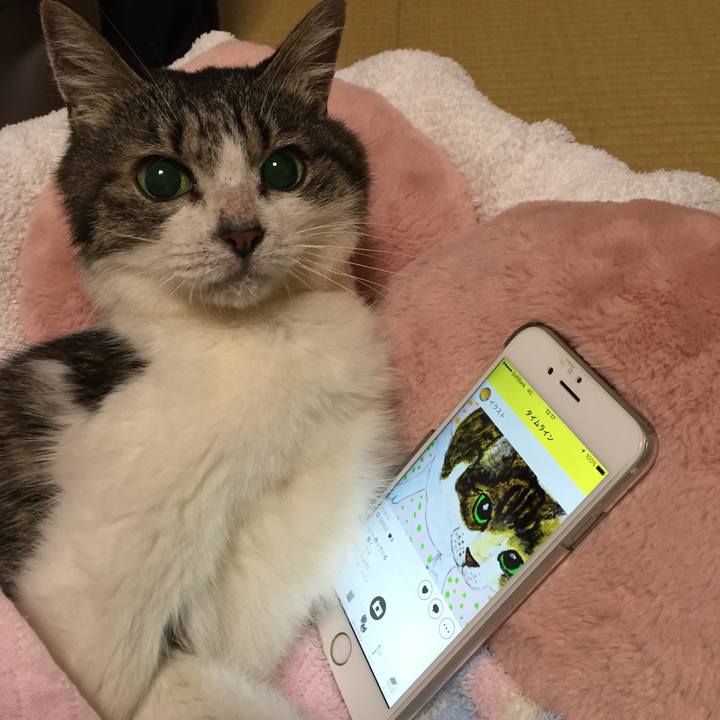 Ccde2105 5ae3 4d12 810f 2986b7216a04