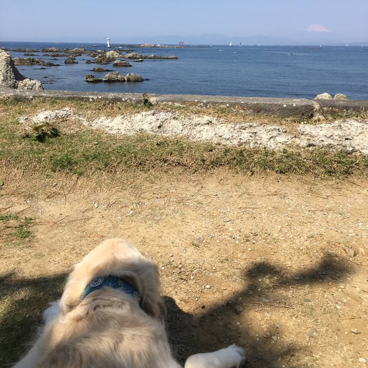 Ccde8dbd 0ca1 441c 983e 4022df39c975