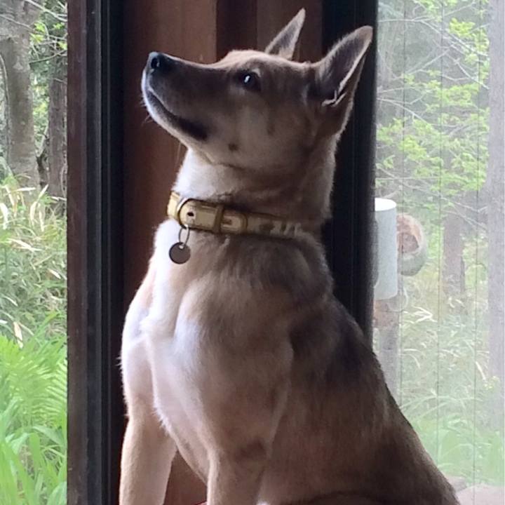 Ccdeaeef effd 4d3b ad91 0f6d757d9706