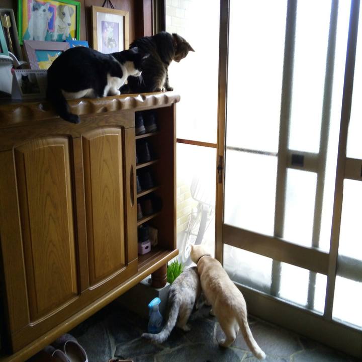 Ccdeba5d 9454 4482 965d ec14339f6d9a