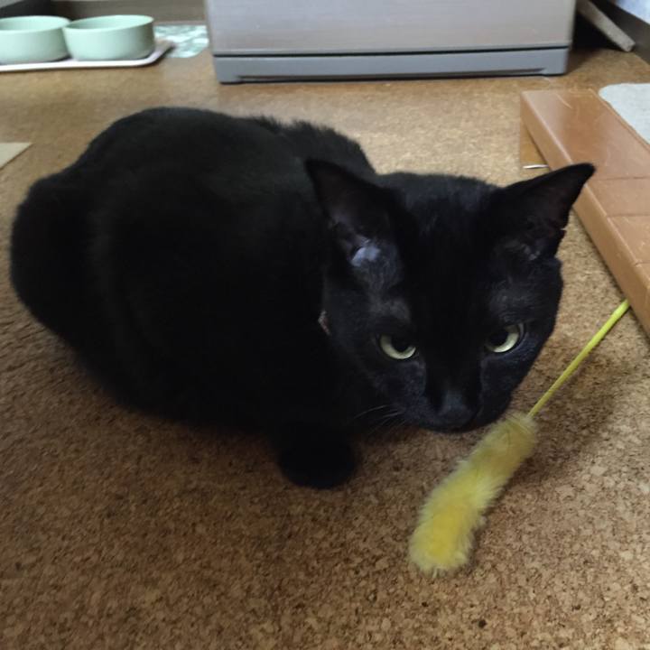 Ccdf19db deee 4a82 84f3 6e4f58801e03