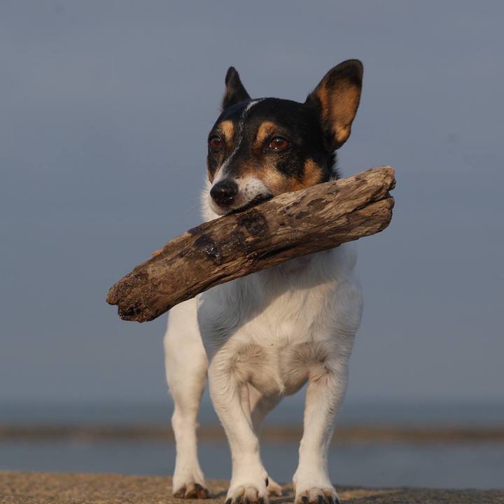 Cce00777 a094 4153 ab6a b7e7846e7980