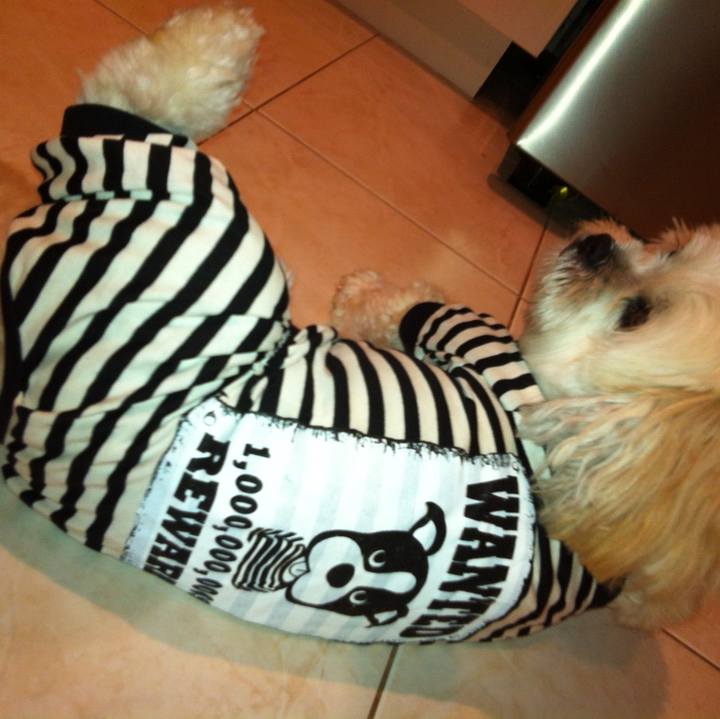 Cce07ff0 a812 4b3f 9f5c a780d67c3ae0