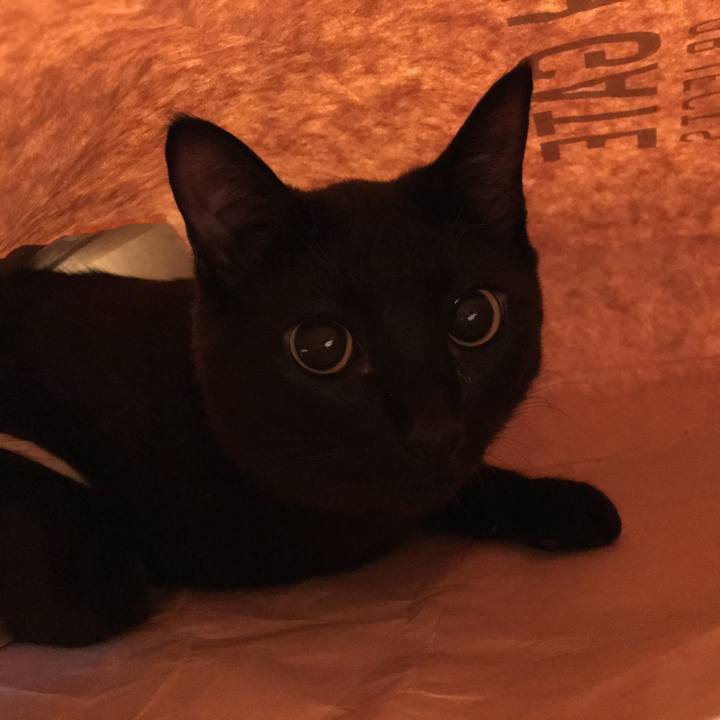 Cce0a033 e6f2 49e2 a07c 6083f0d5090b