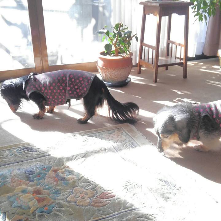 Cce0a9fe 1a4b 4ee1 9ae5 5363ea5d4688