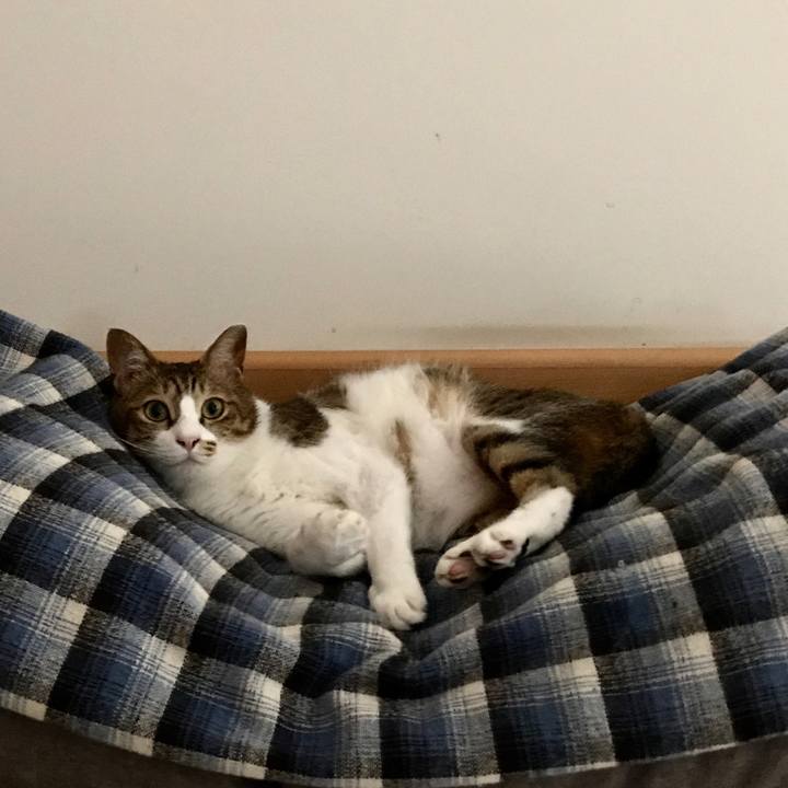 Cce1231a 43d1 4ba7 852a 9209ccee7ce7