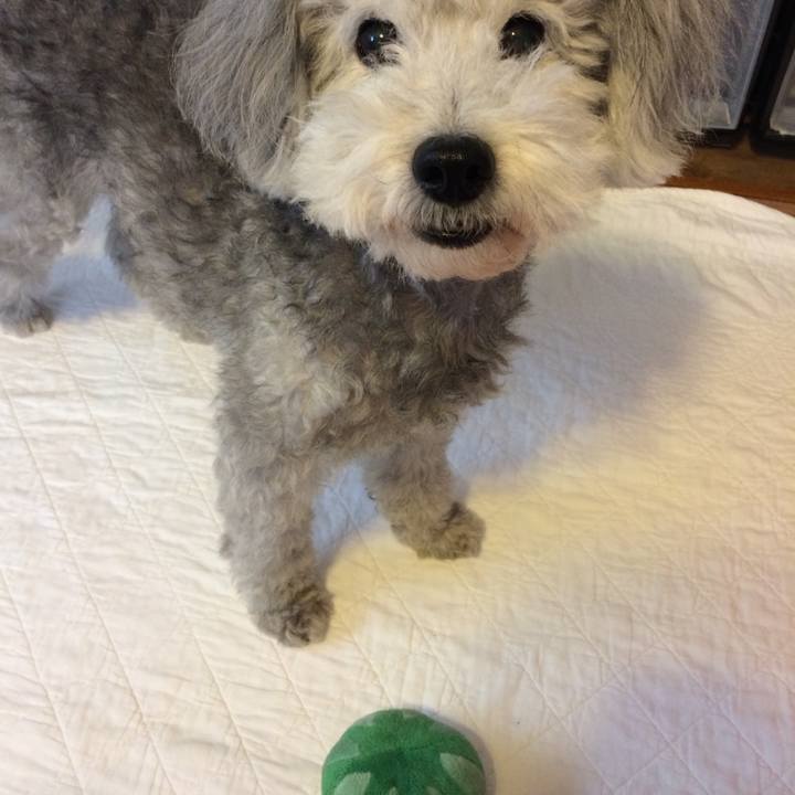 Cce1eb02 6fbb 4f7a 992a 6149943d5839