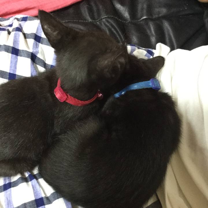 Cce1f597 80e4 4b49 884b 02fb1f4cbd60