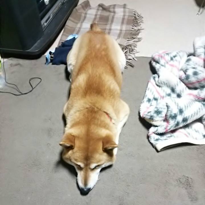 Cce22f2e bb59 4081 929c 9bf7a0110e42