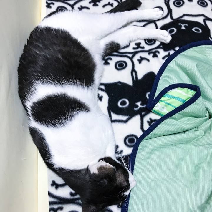 Cce30cb6 092b 47a6 991d fc207f772885