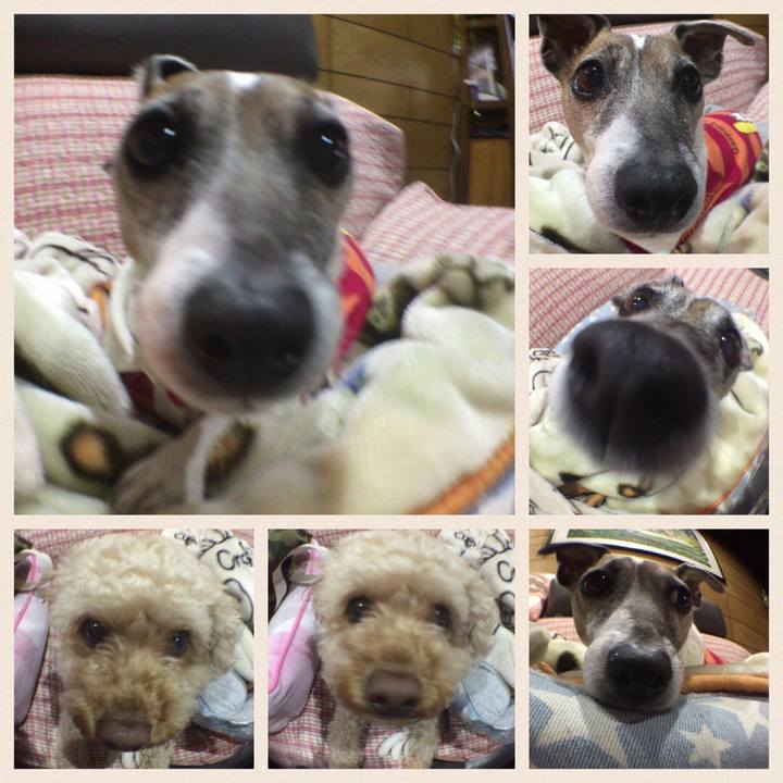 Cce315c8 8fbf 4212 92fc 4e071b0ffe28