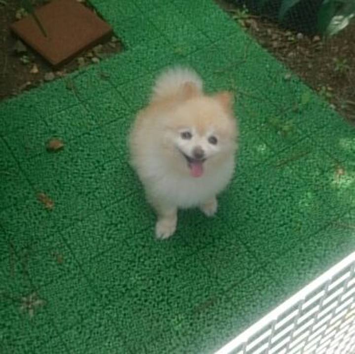 Cce38017 25cf 4228 9bbe bfcdbbf3e2fc