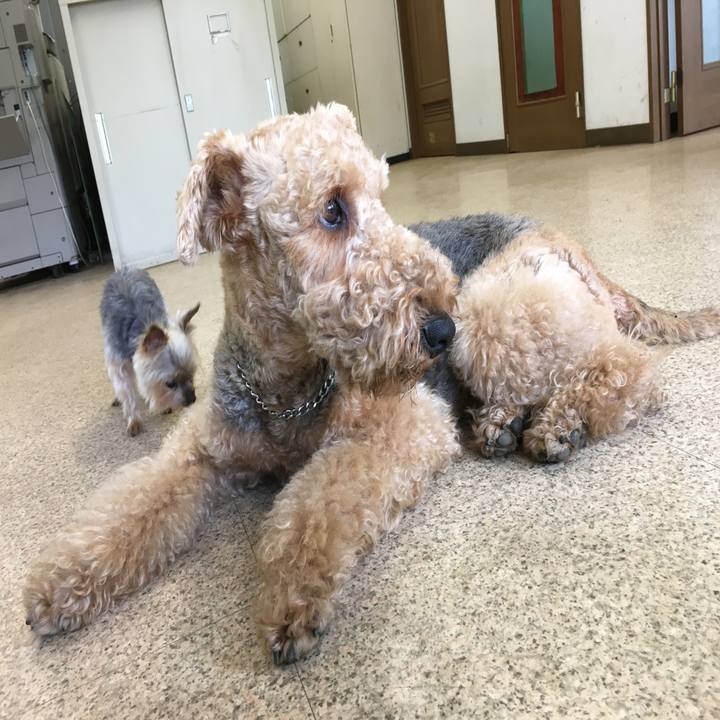 Cce38561 1c47 4929 b5f5 5b68bd64cb69