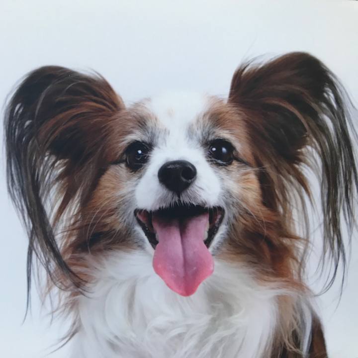 Cce3a8df c7c2 451c b5c1 0cf22f927cd3