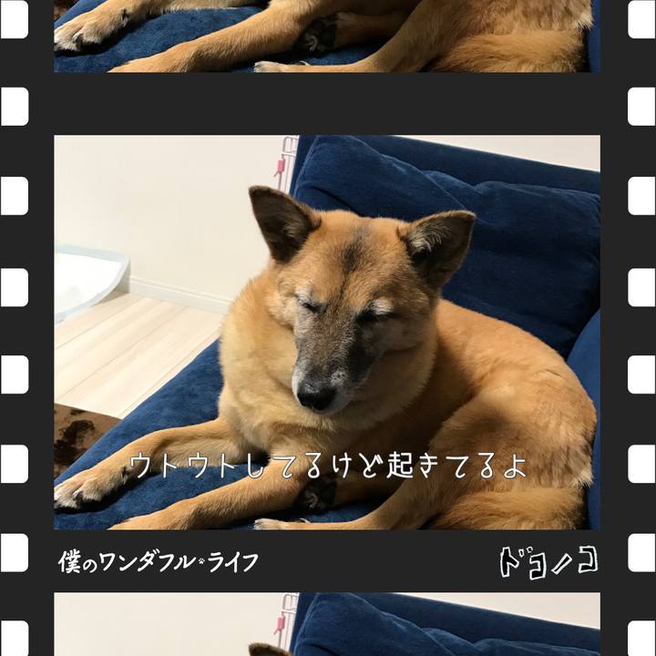 Cce4e7bb b2a2 427d a720 69fd31b8354c