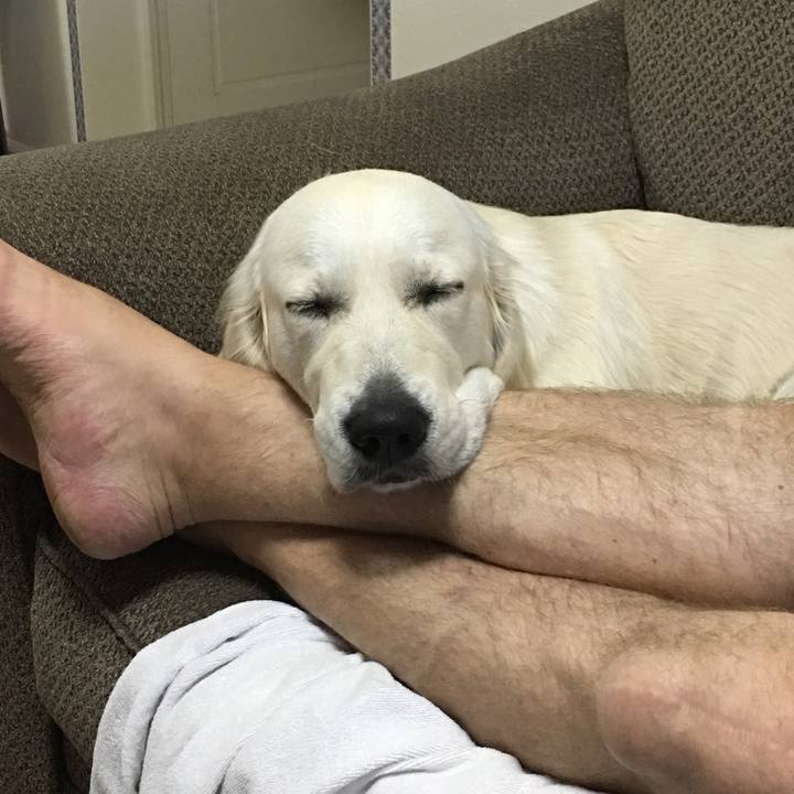 Cce52973 046c 4922 a69c b849f2825485