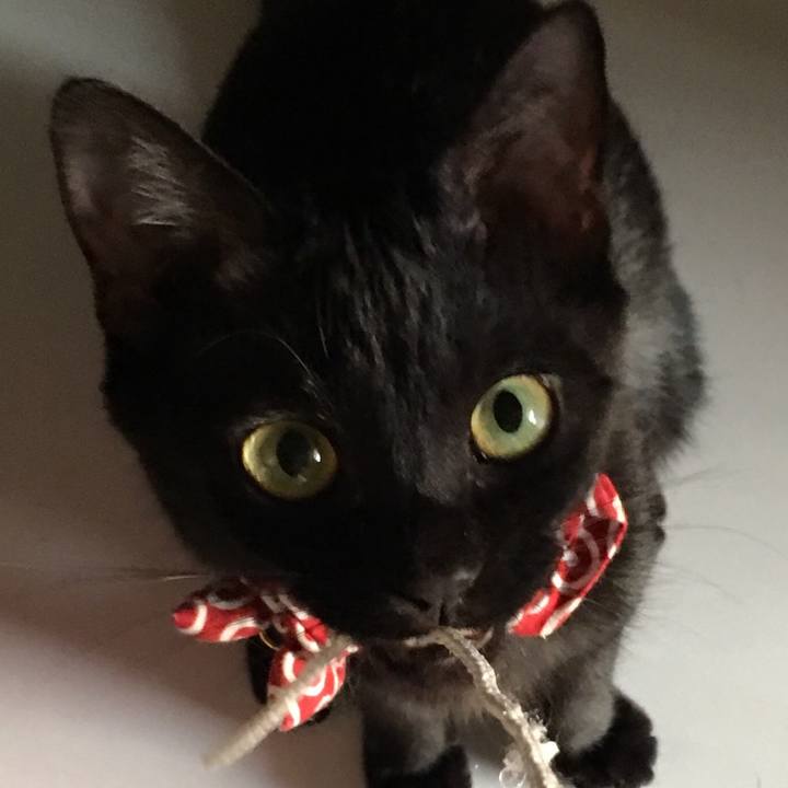 Cce588d0 7109 463e 82c5 c7188dd1022d