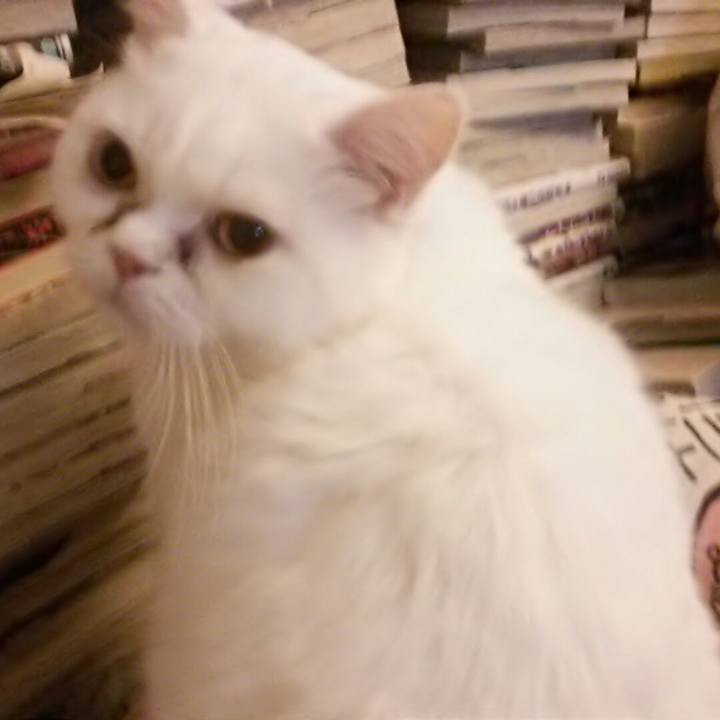 Cce59ff1 2f30 4380 9a55 ed6f074f7c25