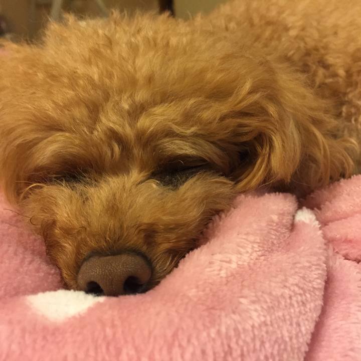 Cce5b759 fd1e 45f5 8e26 8faf5647ff52