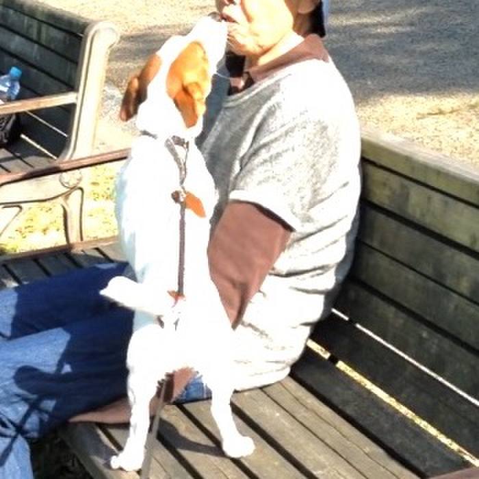 Cce6bbca 745b 4bff a3b0 9241c09d8983