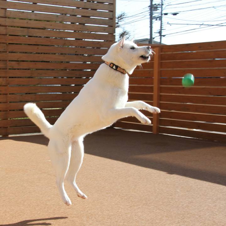 Cce730dd 5c9a 4522 8b45 f77843727ec5