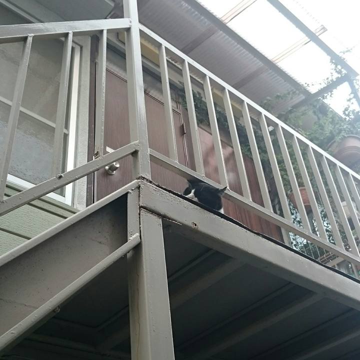 Cce751b9 5651 495c 8d2e 98bc874c5e75