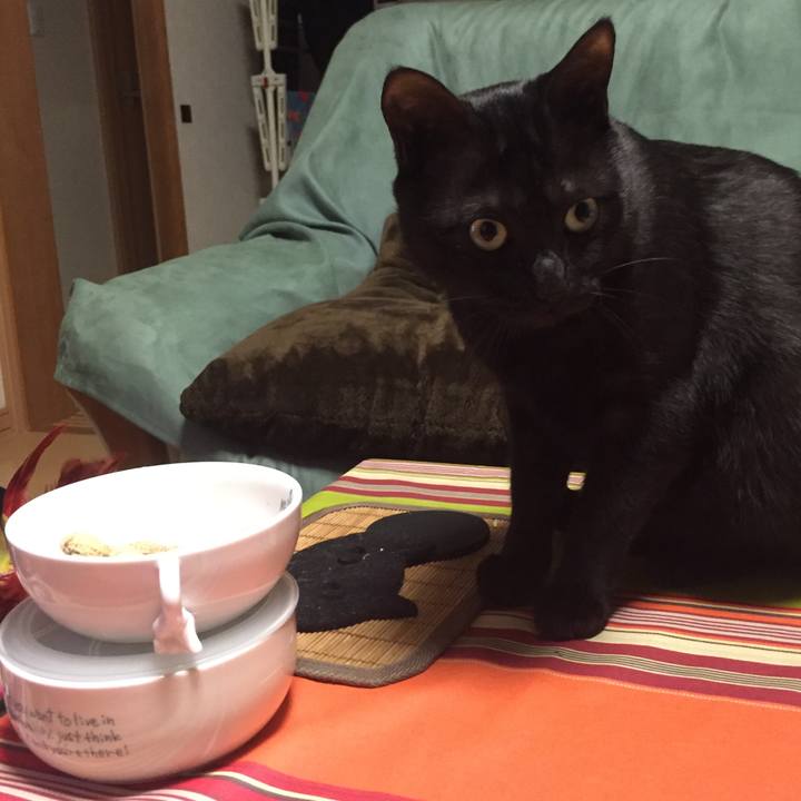 Cce79158 4982 45e6 a068 6a003c1a217e