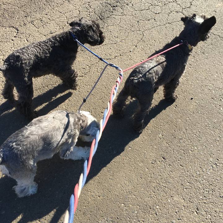 Cce7af57 9fd4 489e b9e8 e05c1dc9963e